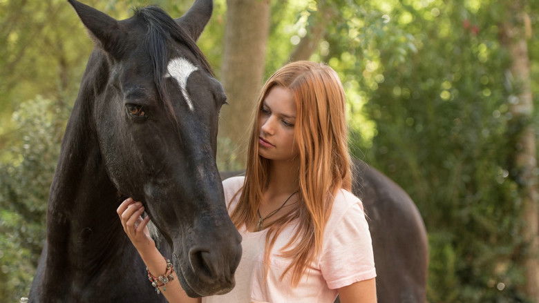 Backdrop image for movie Windstorm 3