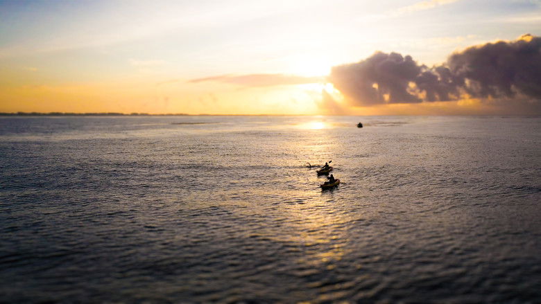 Backdrop image for movie The Grand Swim