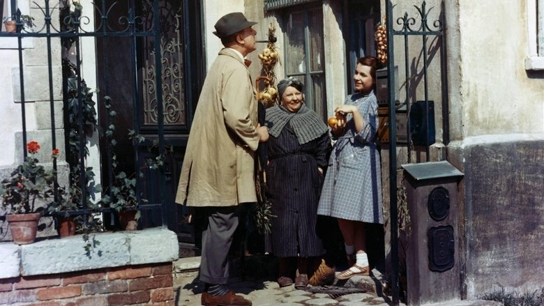 Backdrop image for movie Mon Oncle