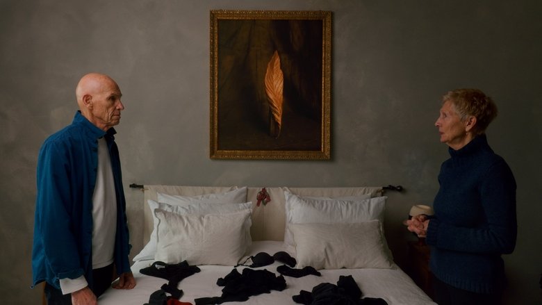 Backdrop image for movie Two Strangers Trying Not to Kill Each Other