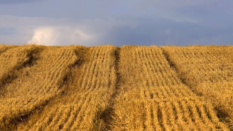 Backdrop image for movie Food Matters