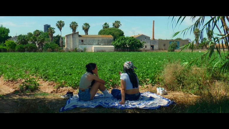 Backdrop image for movie La Compensación