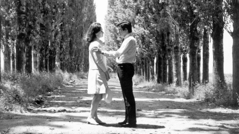 Backdrop image for movie Interlude