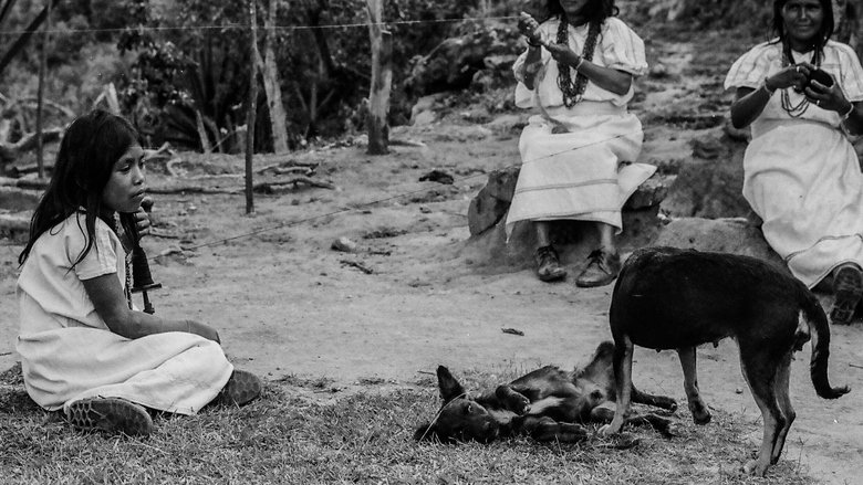 Backdrop image for movie My Death Dog