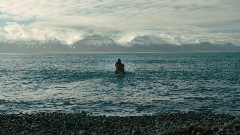 Backdrop image for movie Of Horses and Men