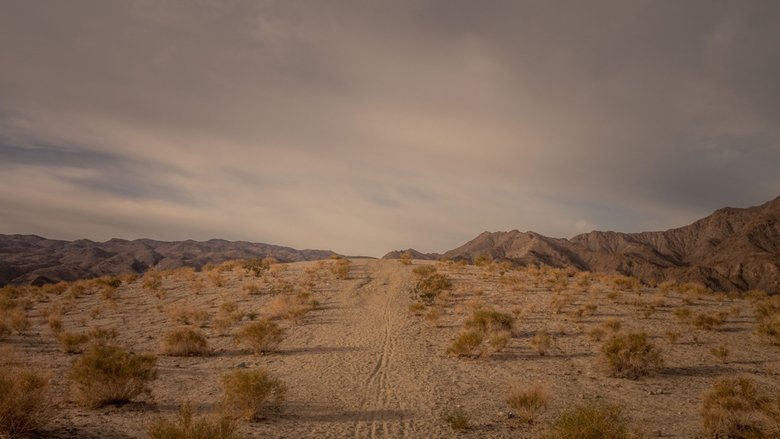 Backdrop image for movie Tacoma