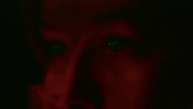 Backdrop image for movie VIDEO PAL