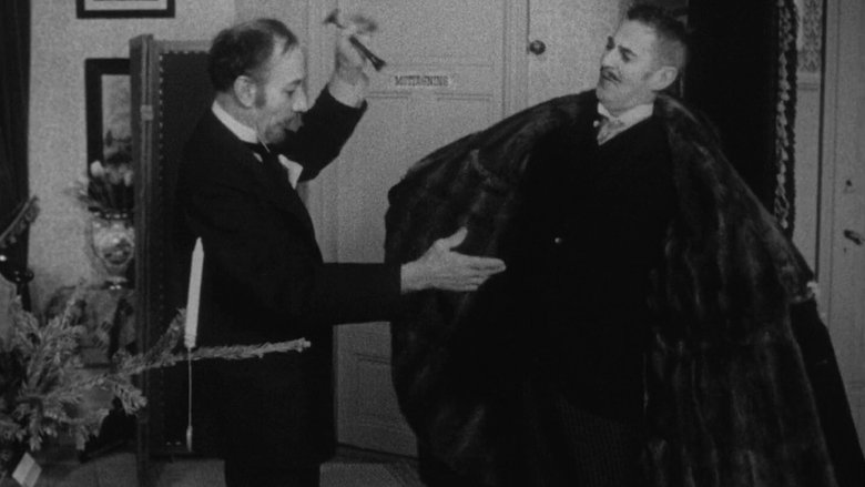 Backdrop image for movie Pälsen