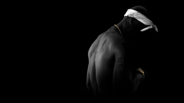 Backdrop image for movie All Eyez on Me