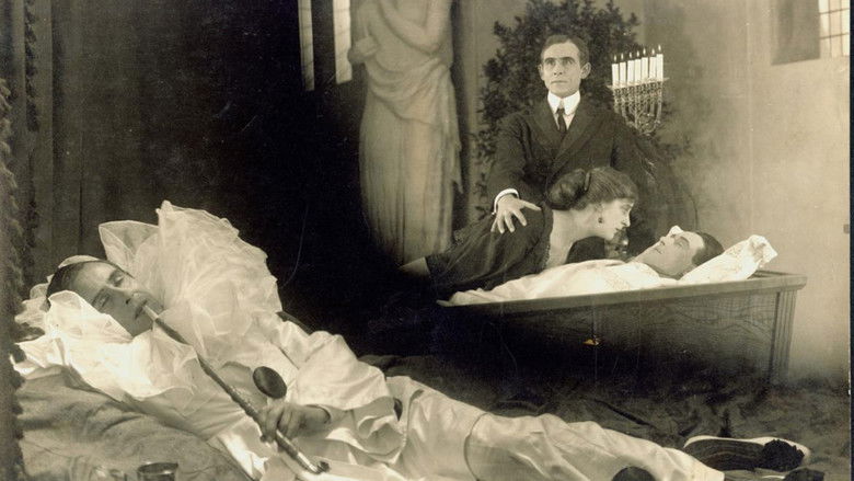 Backdrop image for movie Opiumsdrømmen