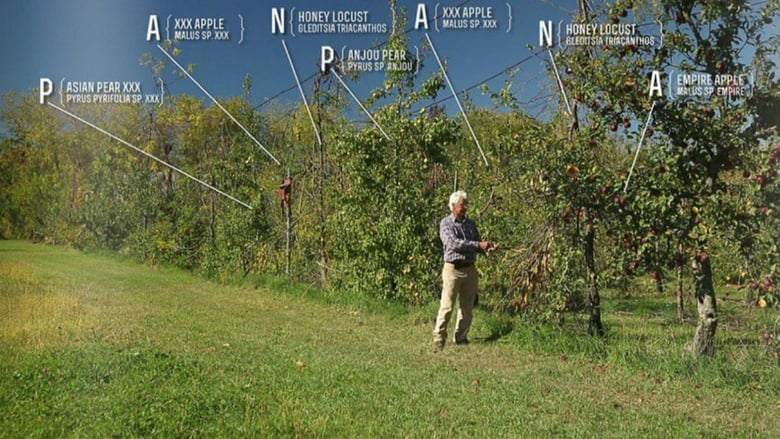 Backdrop image for movie The Permaculture Orchard: Beyond Organic