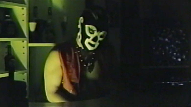 Backdrop image for movie Gay Toybox