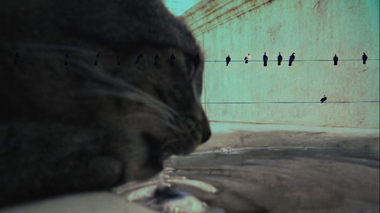 Backdrop image for movie 7 Vidas