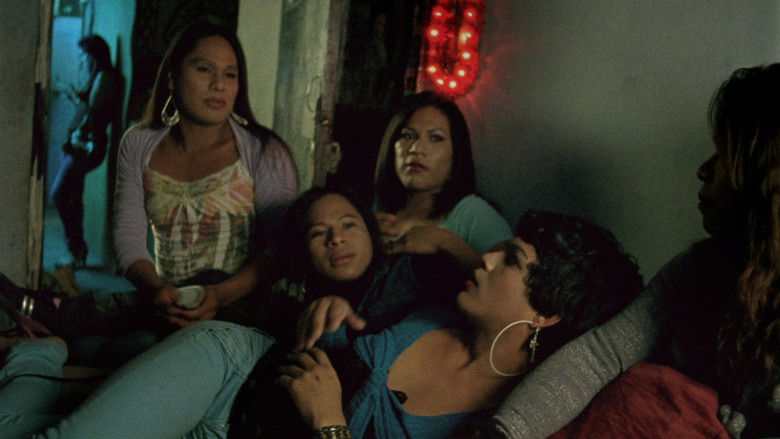 Backdrop image for movie Loxoro