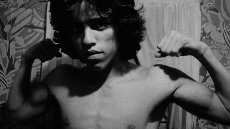 Backdrop image for movie Mala Noche