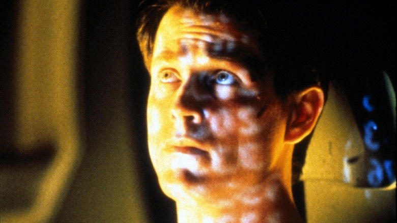 Backdrop image for movie Falling Fire