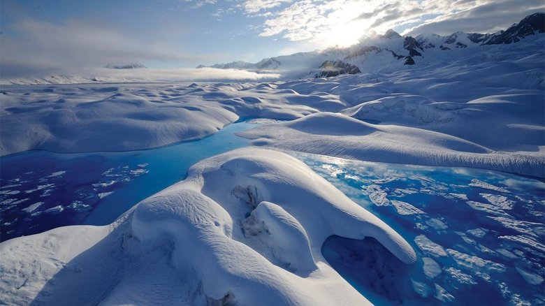 Backdrop image for movie Climate Change: Our Planet - The Arctic Story