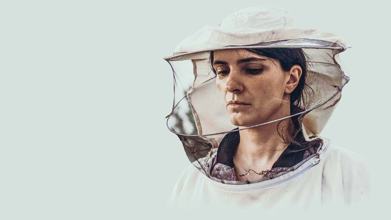 Backdrop image for movie Hive