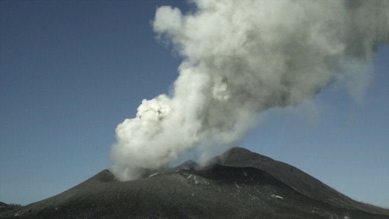 Backdrop image for movie Survivre aux catastrophes, les stratégies de la nature