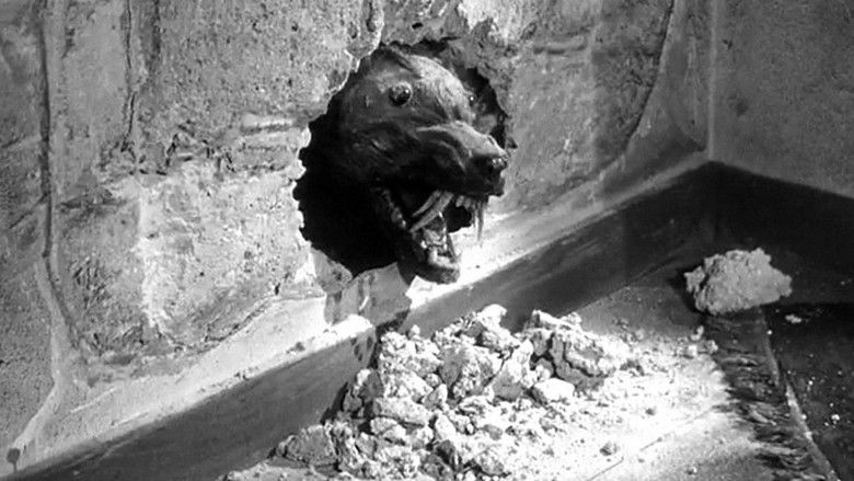 Backdrop image for movie The Killer Shrews