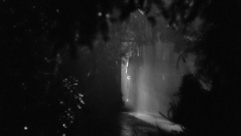 Backdrop image for movie The Night Has Eyes