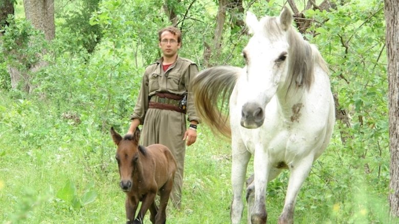 Backdrop image for movie Eyna Bejnê