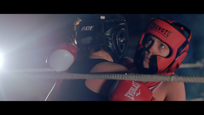 Backdrop image for movie Gut Punch