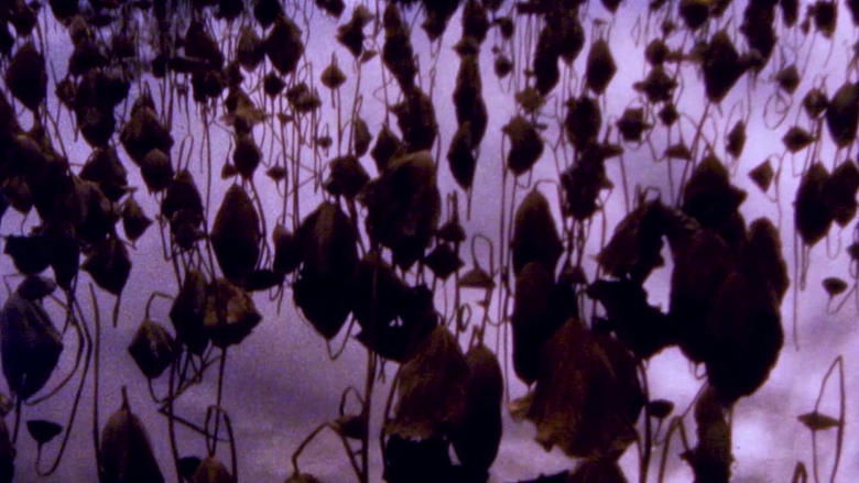Backdrop image for movie Hiroshima - Nagasaki