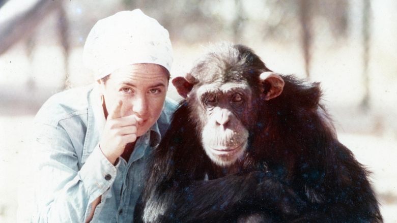 Backdrop image for movie Lucy the Human Chimp
