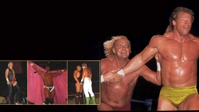 Backdrop image for movie WCW The Great American Bash 1991
