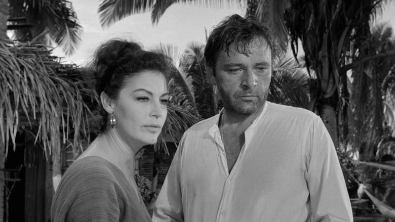 Backdrop image for movie The Night of the Iguana