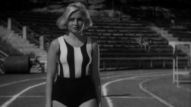 Backdrop image for movie Accidental Meeting