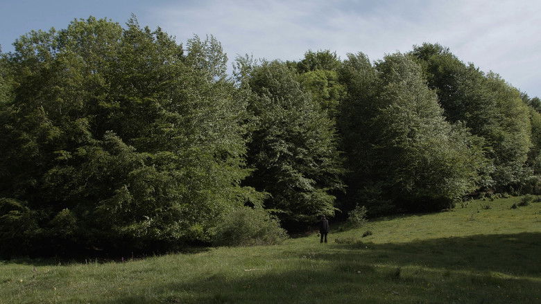 Backdrop image for movie La Malesa