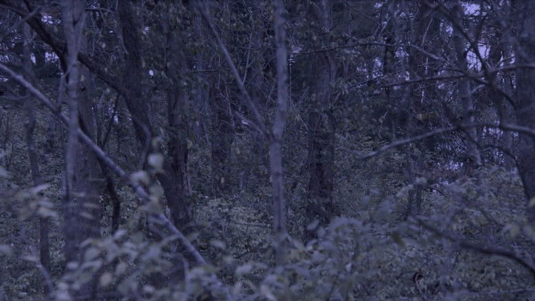 Backdrop image for movie Sometime, Somewhere, in Bellwood