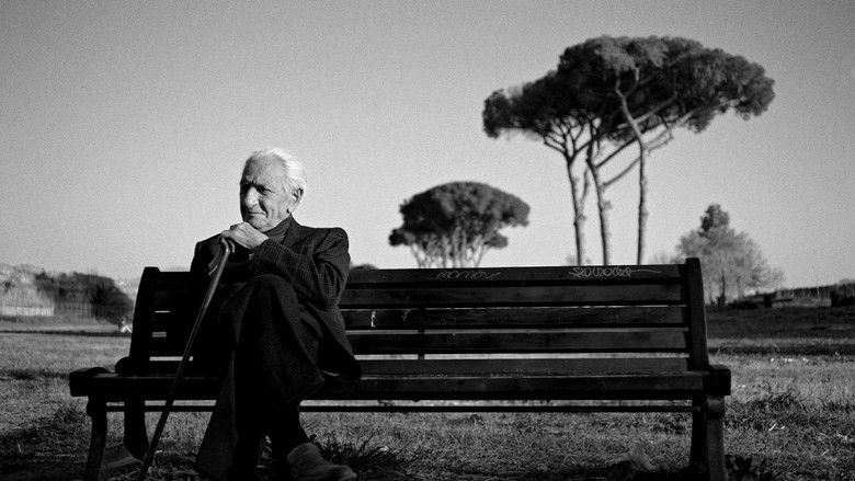 Backdrop image for movie The Treasure of His Youth: The Photographs of Paolo Di Paolo