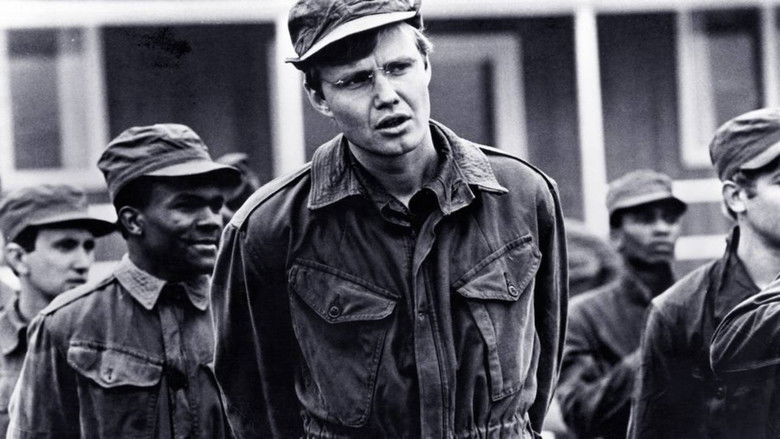 Backdrop image for movie The Revolutionary