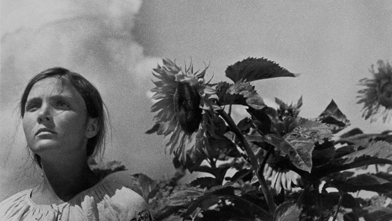 Backdrop image for movie Earth