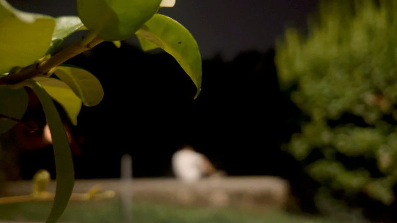 Backdrop image for movie CONDENSAZIONE