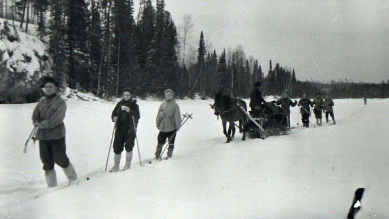 Backdrop image for movie Russian Yeti: The Killer Lives