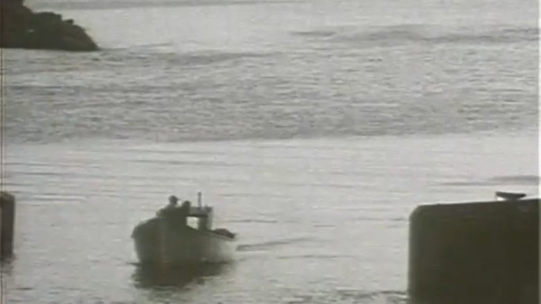 Backdrop image for movie Fish or Cut Bait