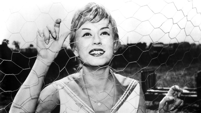 Backdrop image for movie Nights of Cabiria