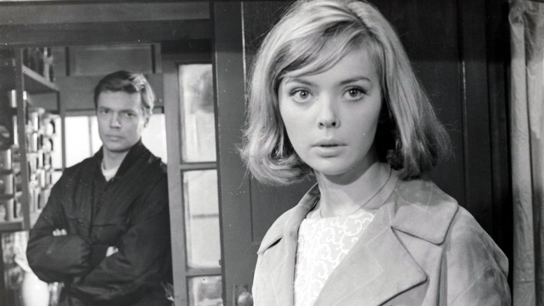 Backdrop image for movie Rififi in Tokyo