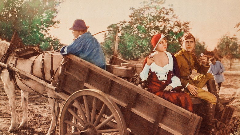 Backdrop image for movie Cock of the Air