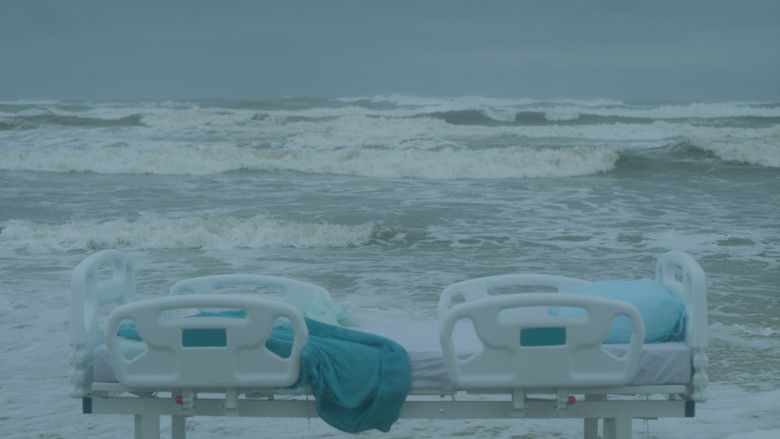 Backdrop image for movie Logos