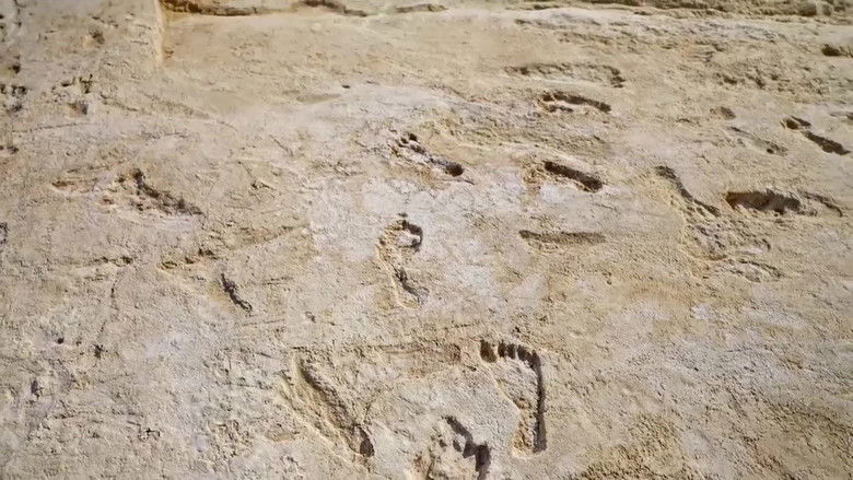 Backdrop image for movie Amérique, la nouvelle histoire des premiers hommes