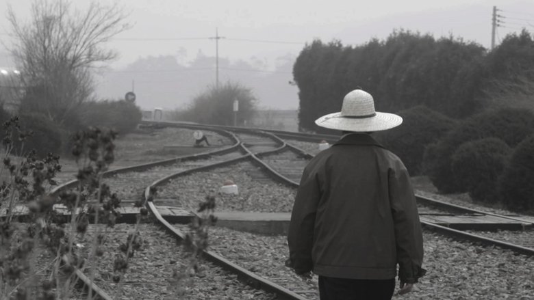 Backdrop image for movie My Father's Emails
