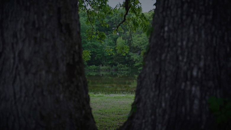 Backdrop image for movie Woodwards