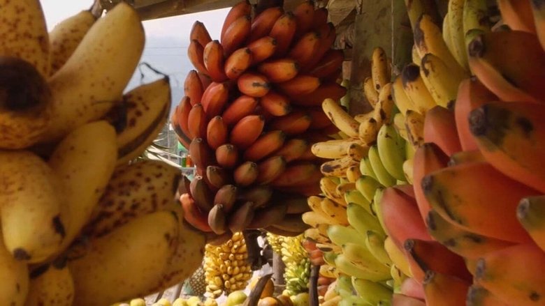 Backdrop image for movie Banana Land: Blood, Bullets & Poison