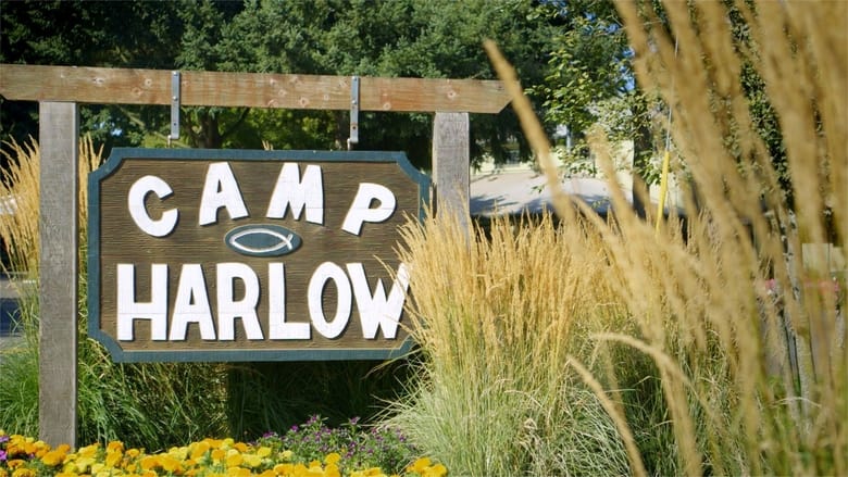 Backdrop image for movie Camp Harlow