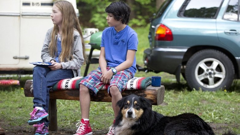 Backdrop image for movie Bark Ranger